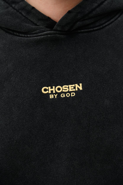 (A) Vintage Hoodie -  Lion of Judah (limited collection)